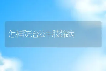 怎样防治公牛肢蹄病