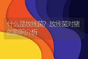 什么是放线菌?放线菌对猪的影响分析