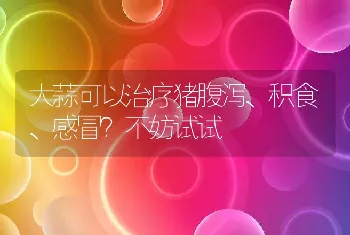 大蒜可以治疗猪腹泻、积食、感冒？不妨试试