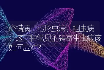 疥螨病、弓形虫病、蛔虫病，这三种常见的猪寄生虫病该如何应对？