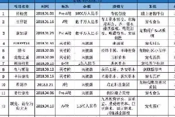 宠物新零售体验感很重要，浅谈那些拿到投资的宠物经济项目