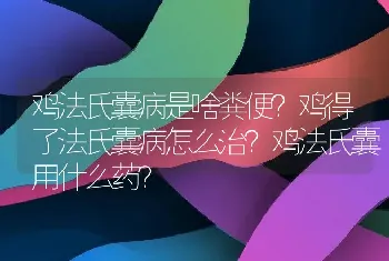 鸡法氏囊病是啥粪便？鸡得了法氏囊病怎么治？鸡法氏囊用什么药？