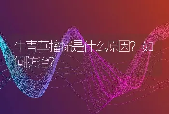 牛青草搐搦是什么原因？如何防治？