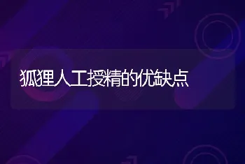 狐狸人工授精的优缺点