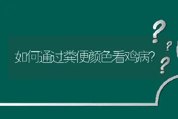 如何通过粪便颜色看鸡病？