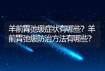 羊前胃弛缓症状有哪些？羊前胃弛缓防治方法有哪些？