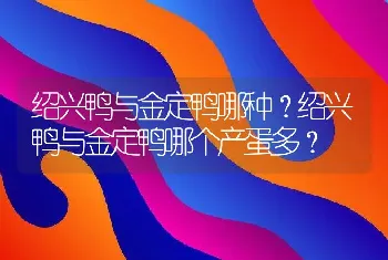 绍兴鸭与金定鸭哪种？绍兴鸭与金定鸭哪个产蛋多？