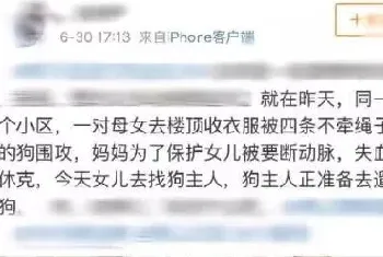 母女被四恶犬围攻，母亲被咬失血至休克