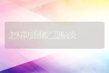 怎样防治猪乙型脑炎