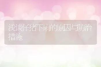 仔猪脱肛如何进行简易手术？