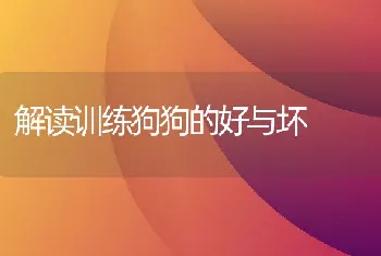 解读训练狗狗的好与坏