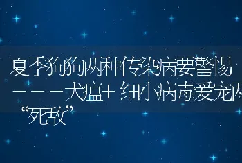 夏季狗狗两种传染病要警惕－－－犬瘟+细小病毒爱宠两“死敌”