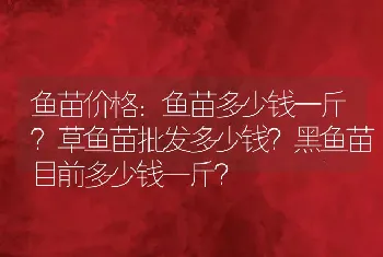 鱼苗价格：鱼苗多少钱一斤？草鱼苗批发多少钱？黑鱼苗目前多少钱一斤？