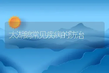 太湖鹅常见疾病的防治