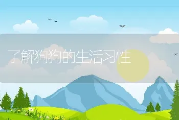 了解狗狗的生活习性