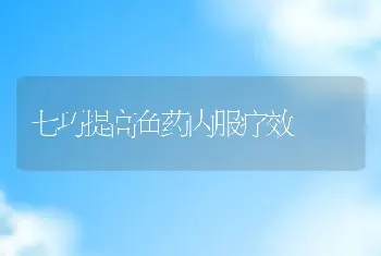 七巧提高鱼药内服疗效