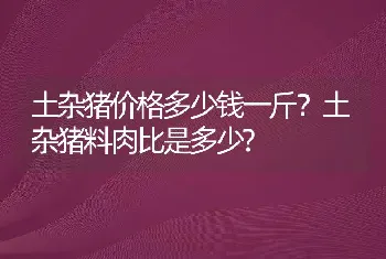 土杂猪价格多少钱一斤？土杂猪料肉比是多少?