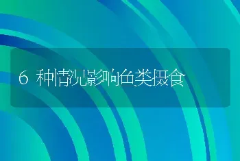 6种情况影响鱼类摄食