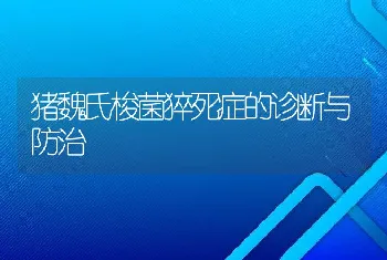 猪魏氏梭菌猝死症的诊断与防治