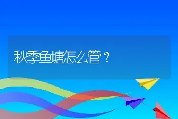 秋季鱼塘怎么管？