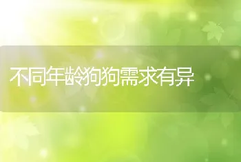 不同年龄狗狗需求有异