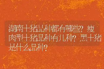 湖南土猪品种都有哪些？瘦肉型土猪品种有几种？黑土猪是什么品种？