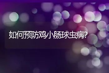 如何预防鸡小肠球虫病？