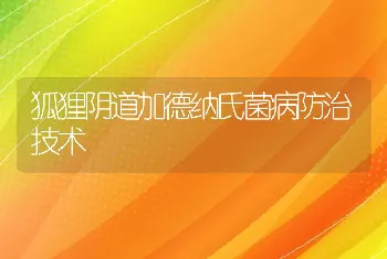 狐狸阴道加德纳氏菌病防治技术