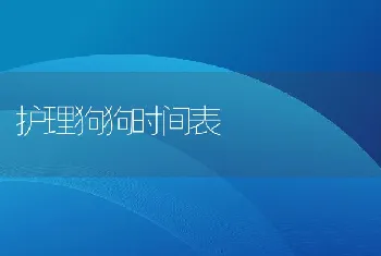 护理狗狗时间表