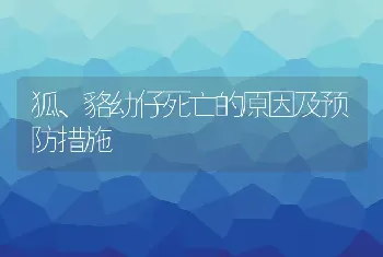 狐、貉幼仔死亡的原因及预防措施