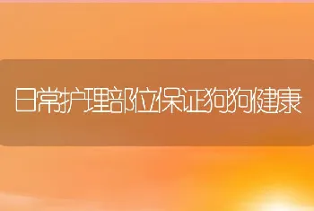 日常护理部位保证狗狗健康