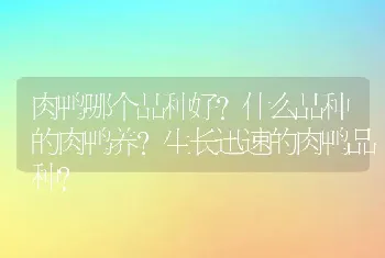 肉鸭哪个品种好？什么品种的肉鸭养？生长迅速的肉鸭品种？