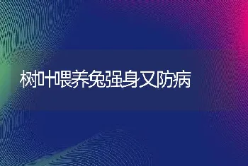 树叶喂养兔强身又防病