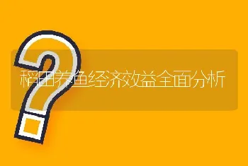 稻田养鱼经济效益全面分析