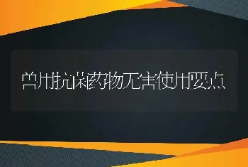 兽用抗菌药物无害使用要点