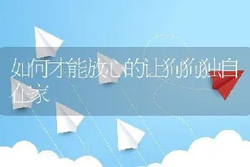 如何才能放心的让狗狗独自在家