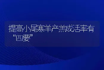 提高小尾寒羊产羔成活率有“四要”