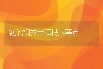 狐的饲养管理技术要点