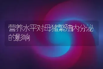 营养水平对母猪繁殖内分泌的影响