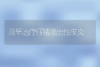 奶牛六“不喂”