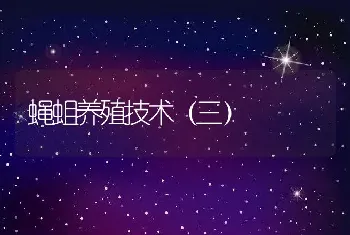 蝇蛆养殖技术（三）