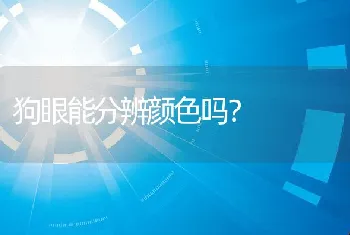 狗眼能分辨颜色吗？