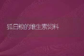 狐日粮的维生素饲料