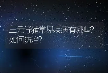 三元仔猪常见疾病有哪些？如何防治？