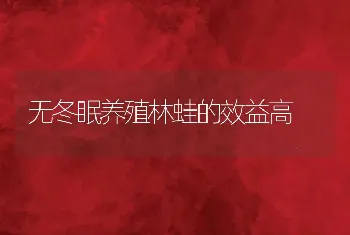 无冬眠养殖林蛙的效益高