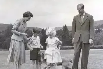 英国女王柯基犬：小狗的外表大狗的灵魂