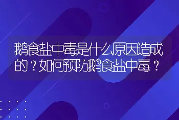 鹅食盐中毒是什么原因造成的？如何预防鹅食盐中毒？