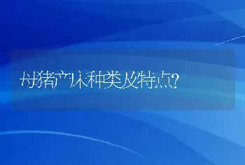 母猪产床种类及特点？