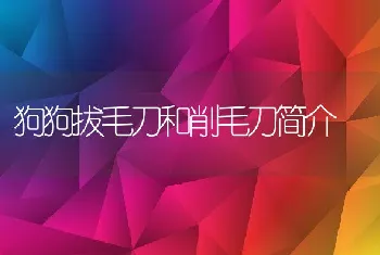 狗狗拔毛刀和削毛刀简介