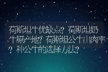 荷斯坦牛优缺点？荷斯坦奶牛原产地？荷斯坦公牛出肉率？种公牛的选择方法？